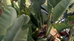 Mountain View | Apartments in San Dimas, CA